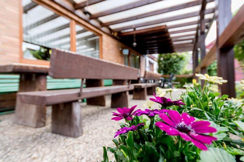 Gasthaus Dernedde Osterode am Harz Exteriör bild